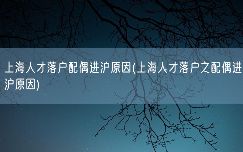 上海人才落户配偶进沪原因(上海人才落户之配偶进沪原因)