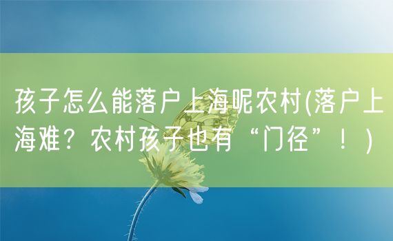 孩子怎么能落户上海呢农村(落户上海难？农村孩子也有“门径”！)