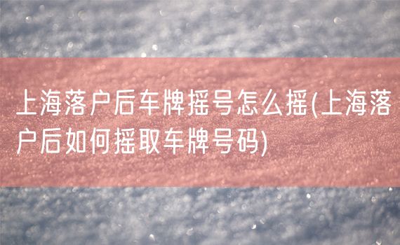 上海落户后车牌摇号怎么摇(上海落户后如何摇取车牌号码)