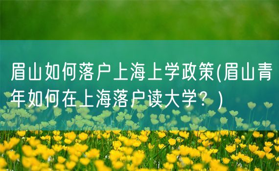眉山如何落户上海上学政策(眉山青年如何在上海落户读大学？)