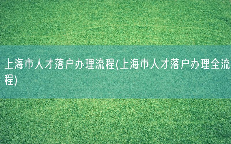 上海市人才落户办理流程(上海市人才落户办理全流程)