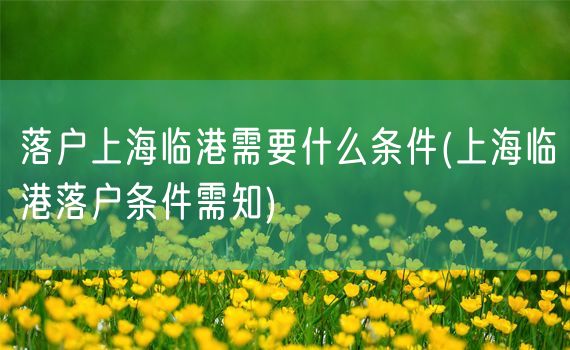 落户上海临港需要什么条件(上海临港落户条件需知)