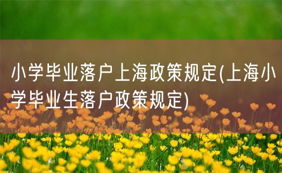 小学毕业落户上海政策规定(上海小学毕业生落户政策规定)