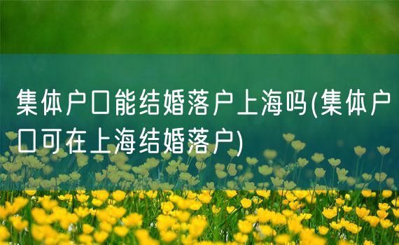集体户口能结婚落户上海吗(集体户口可在上海结婚落户)