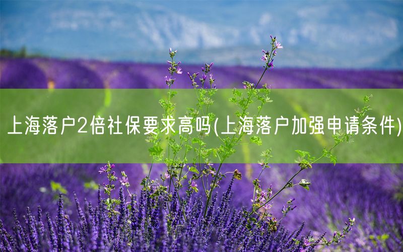 上海落户2倍社保要求高吗(上海落户加强申请条件)