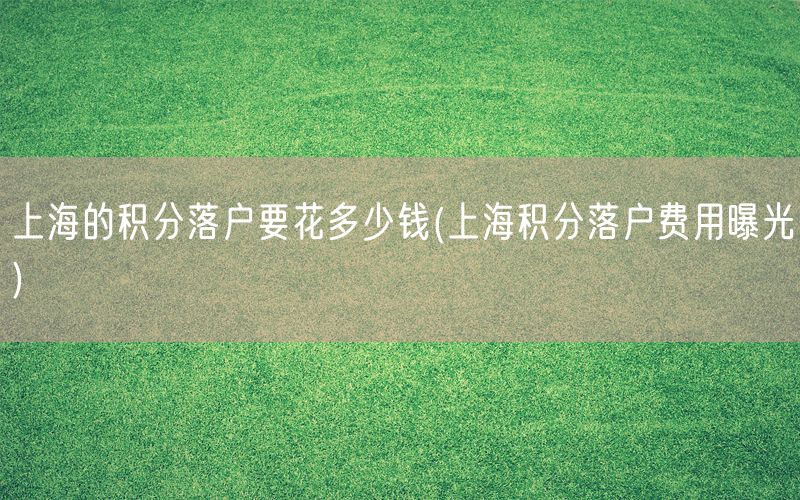 上海的积分落户要花多少钱(上海积分落户费用曝光)