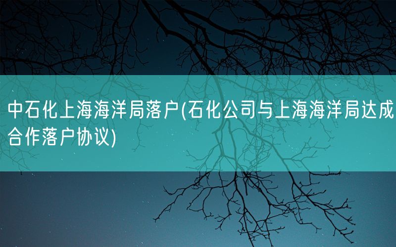 中石化上海海洋局落户(石化公司与上海海洋局达成合作落户协议)