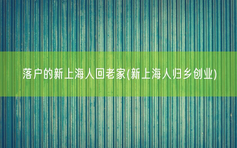 落户的新上海人回老家(新上海人归乡创业)