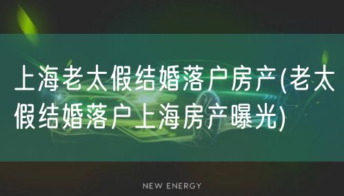 上海老太假结婚落户房产(老太假结婚落户上海房产曝光)