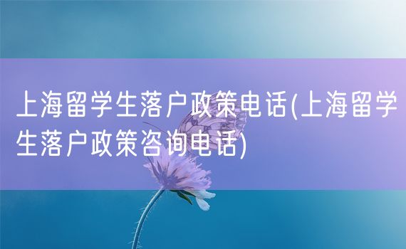 上海留学生落户政策电话(上海留学生落户政策咨询电话)