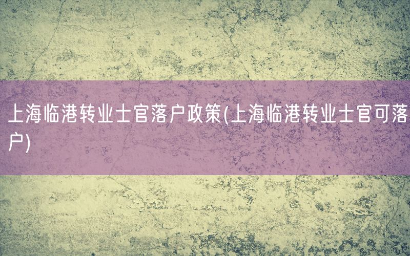 上海临港转业士官落户政策(上海临港转业士官可落户)