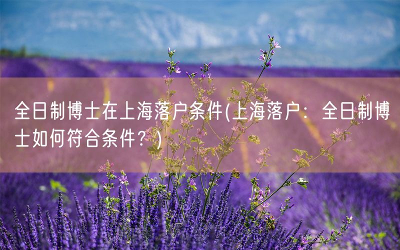 全日制博士在上海落户条件(上海落户：全日制博士如何符合条件？)
