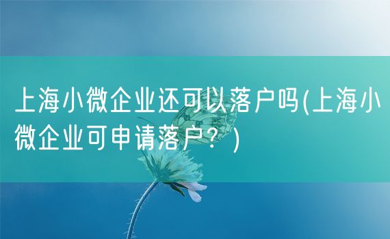 上海小微企业还可以落户吗(上海小微企业可申请落户？)