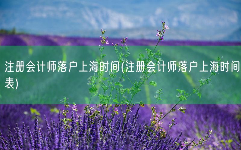 注册会计师落户上海时间(注册会计师落户上海时间表)