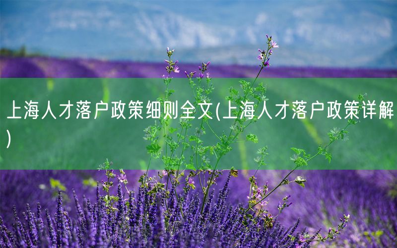 上海人才落户政策细则全文(上海人才落户政策详解)