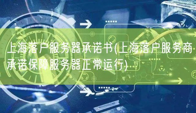 上海落户服务器承诺书(上海落户服务商承诺保障服务器正常运行)