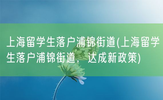 上海留学生落户浦锦街道(上海留学生落户浦锦街道，达成新政策)