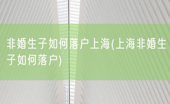 非婚生子如何落户上海(上海非婚生子如何落户)