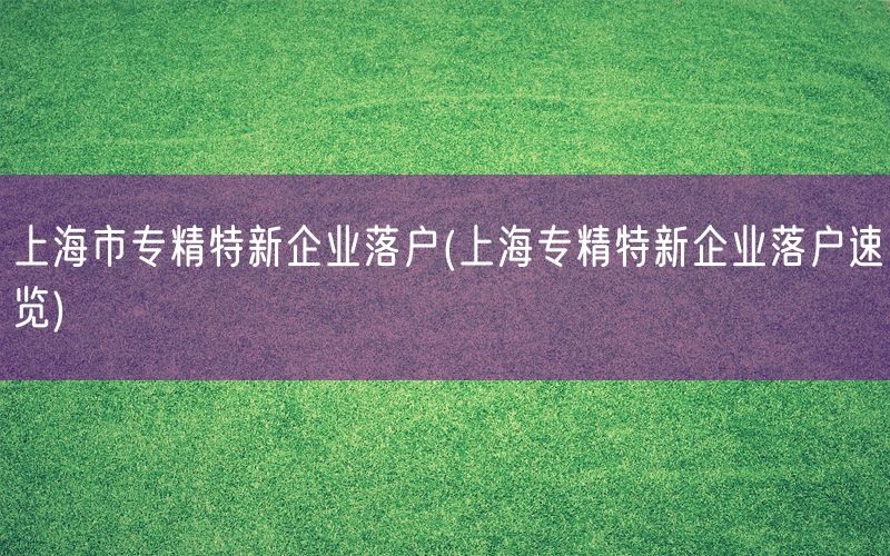 上海市专精特新企业落户(上海专精特新企业落户速览)