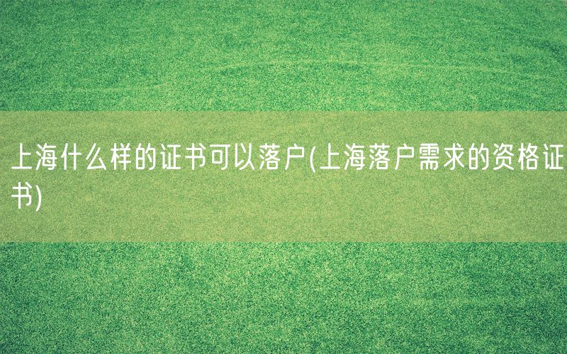 上海什么样的证书可以落户(上海落户需求的资格证书)