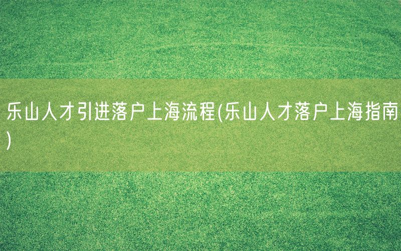 乐山人才引进落户上海流程(乐山人才落户上海指南)