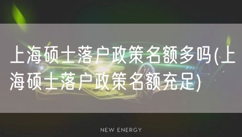 上海硕士落户政策名额多吗(上海硕士落户政策名额充足)