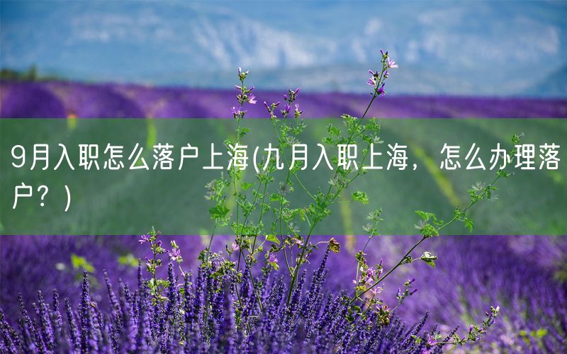 9月入职怎么落户上海(九月入职上海，怎么办理落户？)