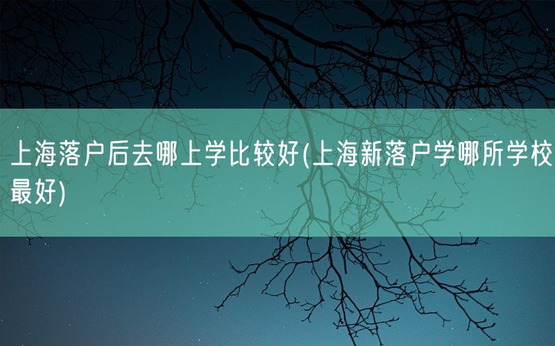 上海落户后去哪上学比较好(上海新落户学哪所学校最好)