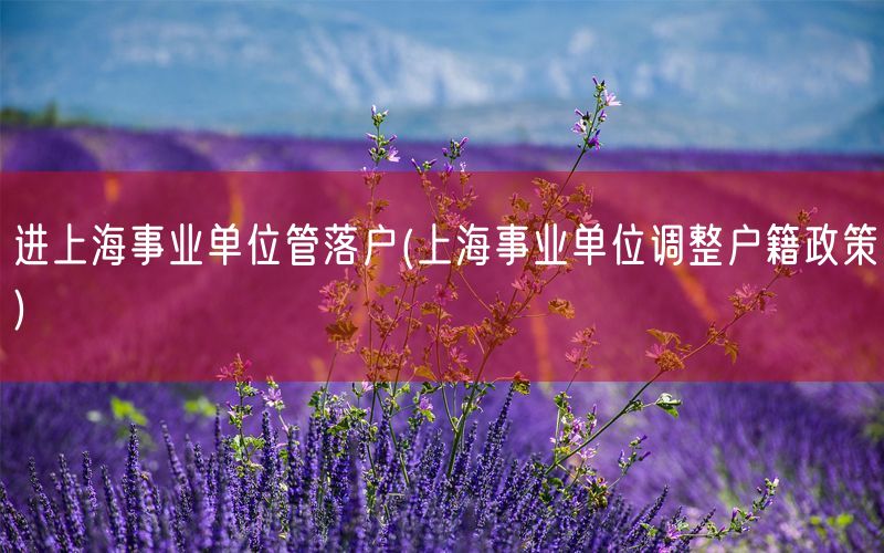 进上海事业单位管落户(上海事业单位调整户籍政策)