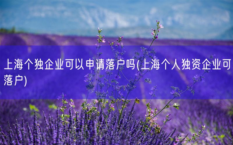 上海个独企业可以申请落户吗(上海个人独资企业可落户)