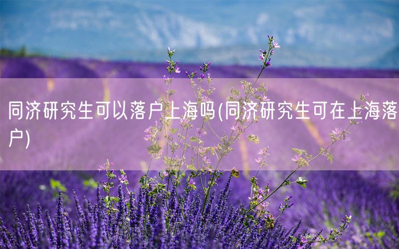 同济研究生可以落户上海吗(同济研究生可在上海落户)