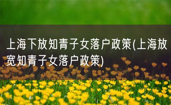 上海下放知青子女落户政策(上海放宽知青子女落户政策)