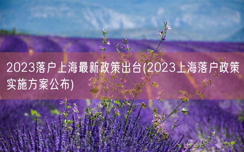 2023落户上海最新政策出台(2023上海落户政策实施方案公布)
