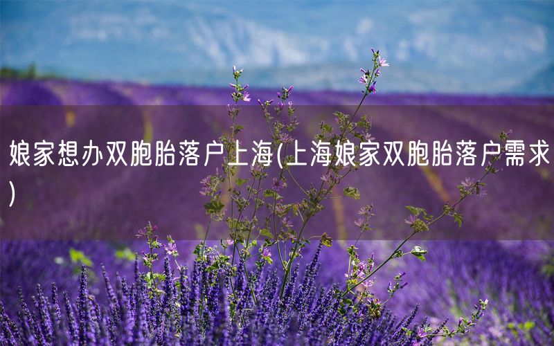 娘家想办双胞胎落户上海(上海娘家双胞胎落户需求)