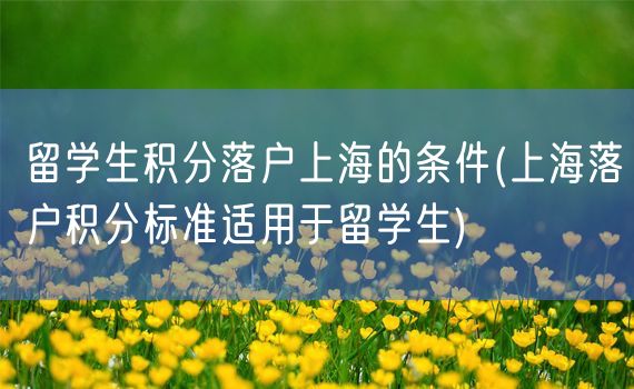 留学生积分落户上海的条件(上海落户积分标准适用于留学生)