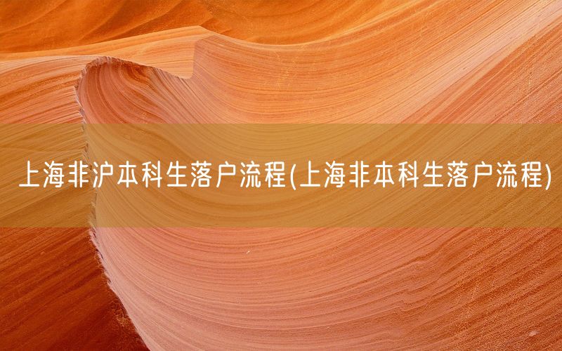 上海非沪本科生落户流程(上海非本科生落户流程)