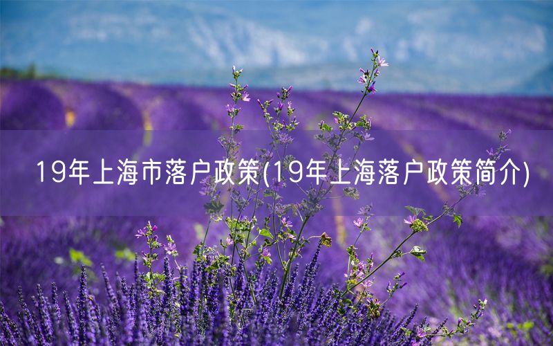 19年上海市落户政策(19年上海落户政策简介)