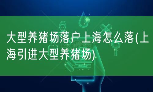 大型养猪场落户上海怎么落(上海引进大型养猪场)