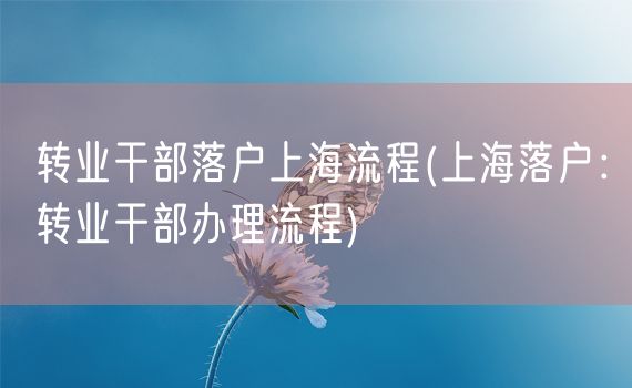 转业干部落户上海流程(上海落户：转业干部办理流程)