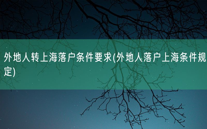 外地人转上海落户条件要求(外地人落户上海条件规定)