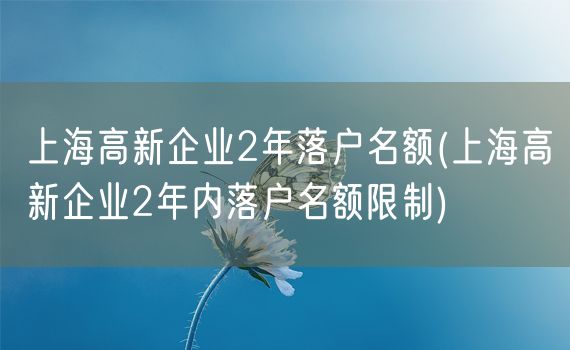 上海高新企业2年落户名额(上海高新企业2年内落户名额限制)