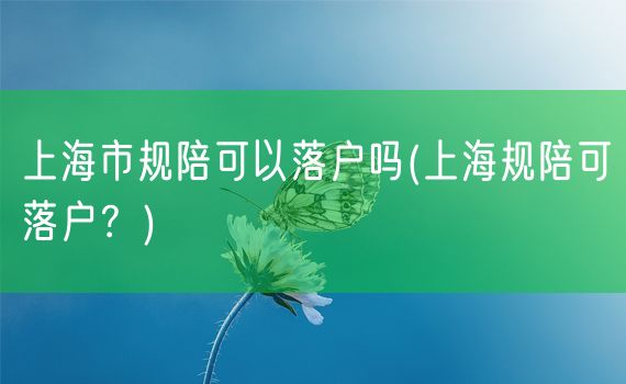 上海市规陪可以落户吗(上海规陪可落户？)