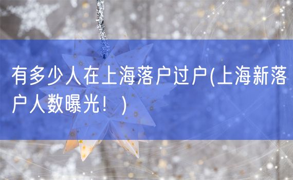有多少人在上海落户过户(上海新落户人数曝光！)