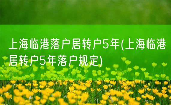 上海临港落户居转户5年(上海临港居转户5年落户规定)