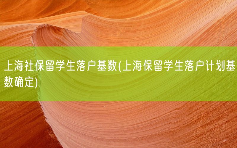 上海社保留学生落户基数(上海保留学生落户计划基数确定)