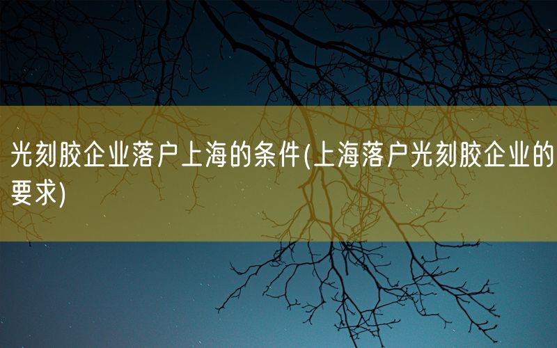 光刻胶企业落户上海的条件(上海落户光刻胶企业的要求)