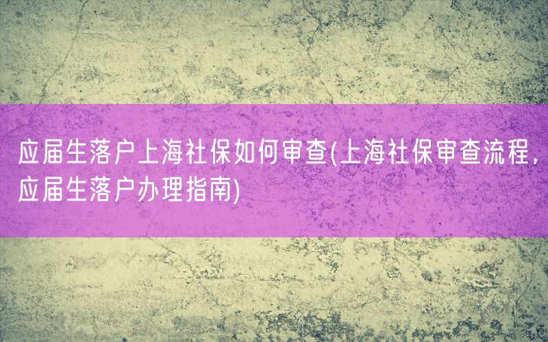 应届生落户上海社保如何审查(上海社保审查流程，应届生落户办理指南)