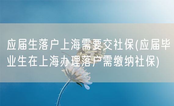 应届生落户上海需要交社保(应届毕业生在上海办理落户需缴纳社保)