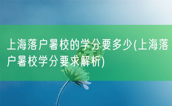 上海落户暑校的学分要多少(上海落户暑校学分要求解析)