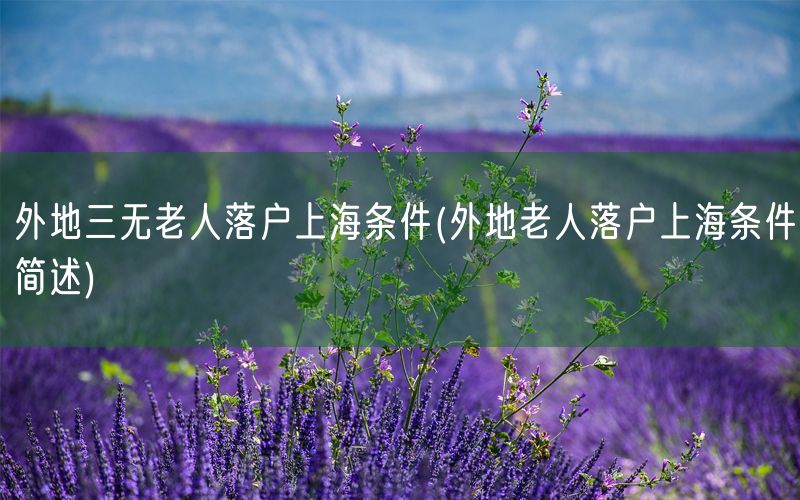 外地三无老人落户上海条件(外地老人落户上海条件简述)
